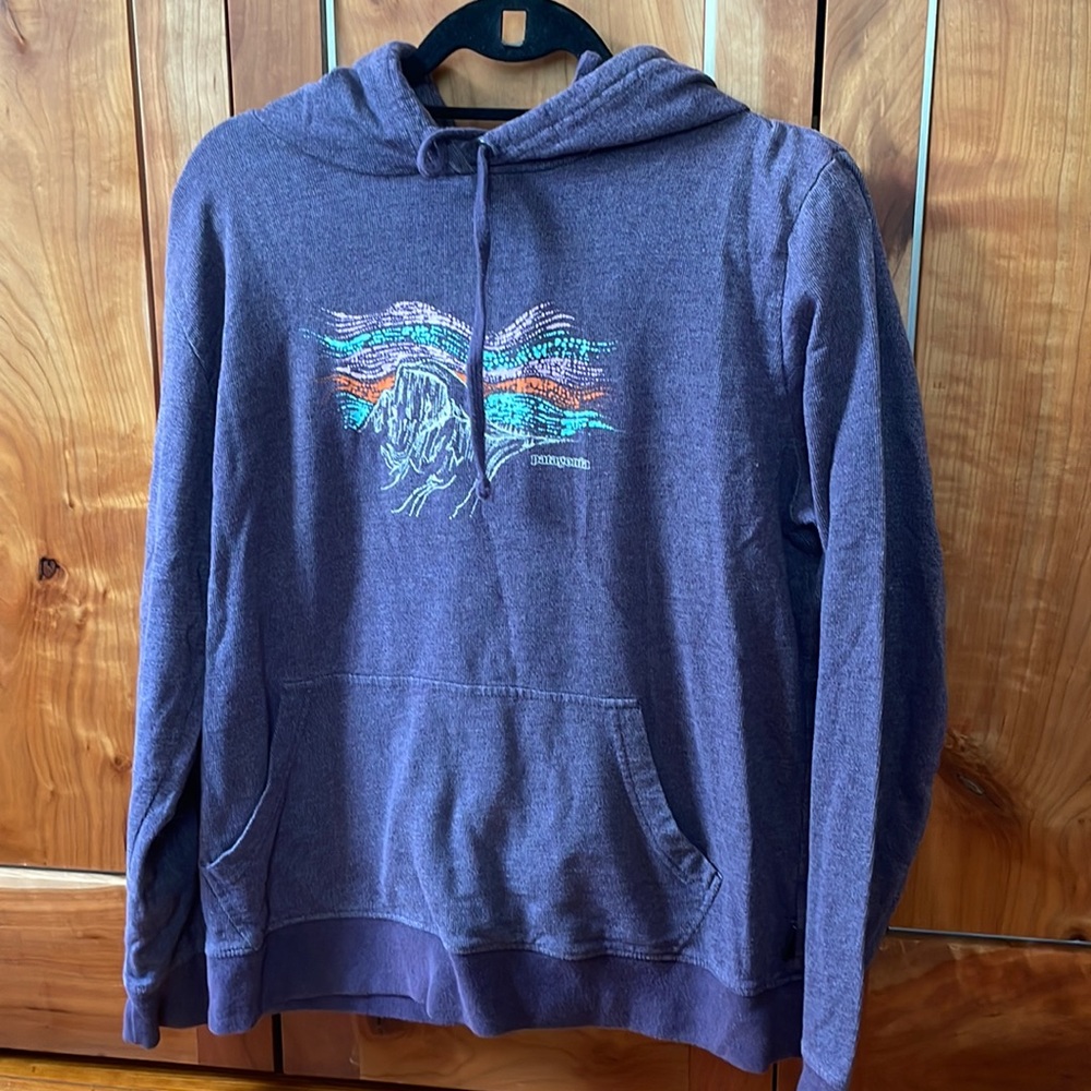 Purple Patagonia sweatshirt size extra large